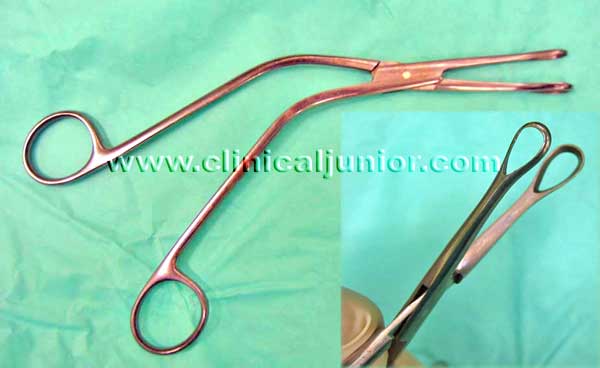 Denis Browne Tonsil Holding Forceps